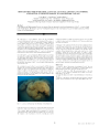 Preview image for REEF-LIKE STRUCTURE OF THE CORAL CLADOCORA CAESPITOSA (LINNAEUS, 1767)(ANTHOZOA, SCLERACTINIA) IN THE SOUTH ADRIATIC SEA (MONTENEGRO, CAPE JAZ)