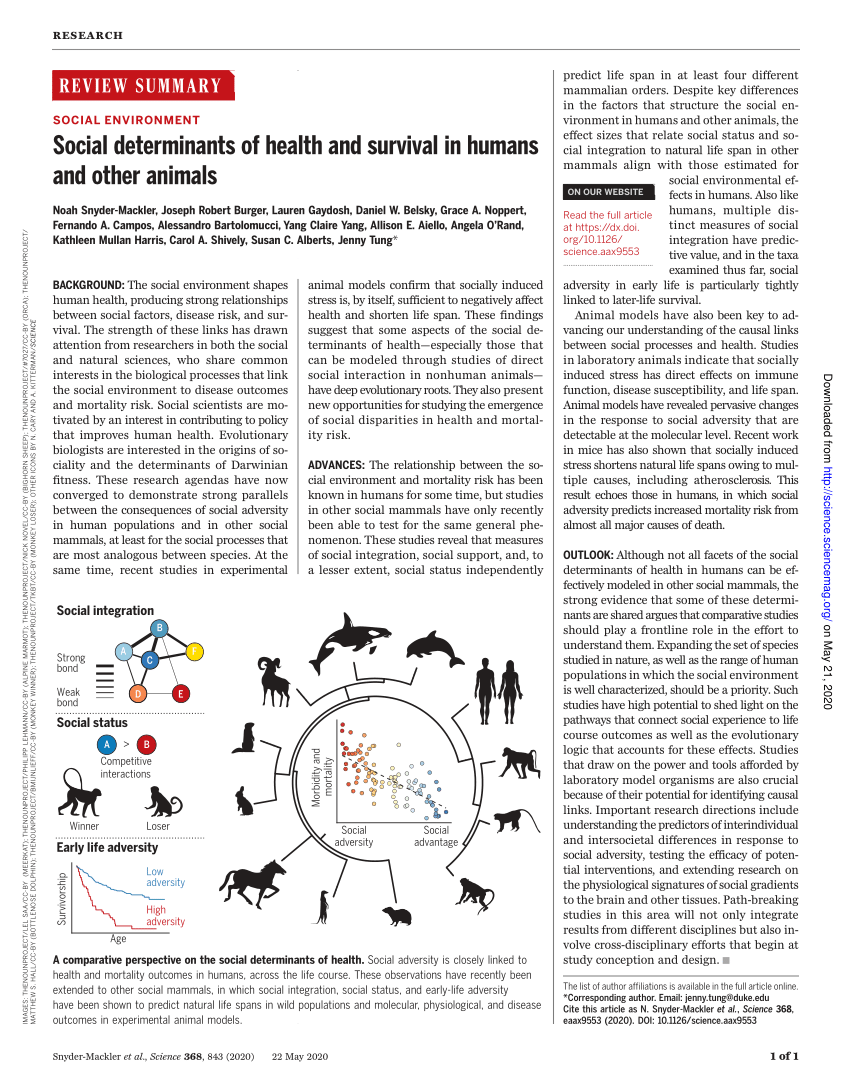 PDF) Social determinants of health and survival in humans and other animals