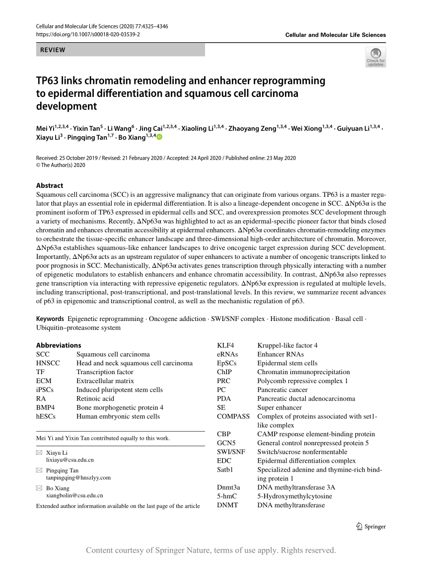 PDF) TP63 links chromatin remodeling and enhancer reprogramming to 