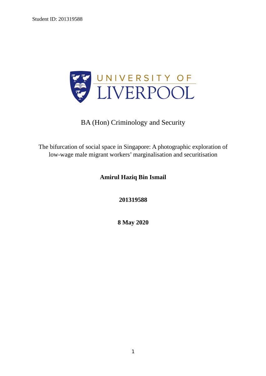 undergraduate criminology dissertation