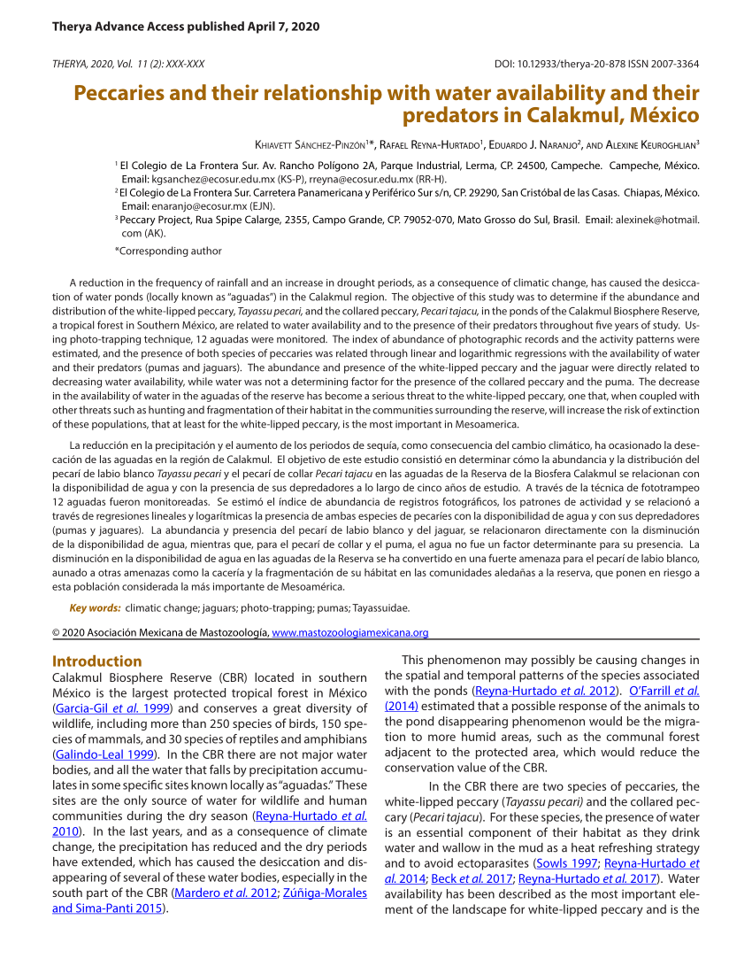 PDF) Peccaries and their relationship with water availability and their  redators in Calakmul, México