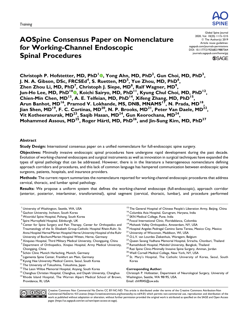 PDF) AOSpine Consensus Paper on Nomenclature for Working-Channel 