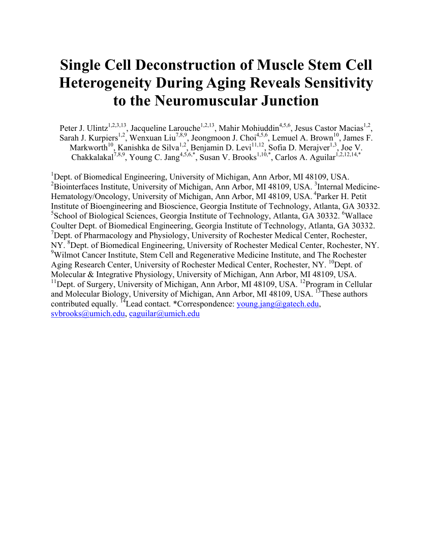 Pdf Single Cell Deconstruction Of Muscle Stem Cell Heterogeneity During Aging Reveals Sensitivity To The Neuromuscular Junction