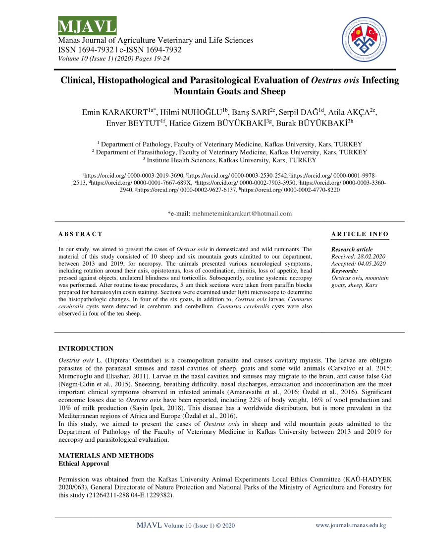 https://i1.rgstatic.net/publication/341740766_Clinical_Histopathological_and_Parasitological_Evaluation_of_Oestrus_ovis_Infecting_Mountain_Goats_and_Sheep/links/5f0c7374299bf1074452ea13/largepreview.png