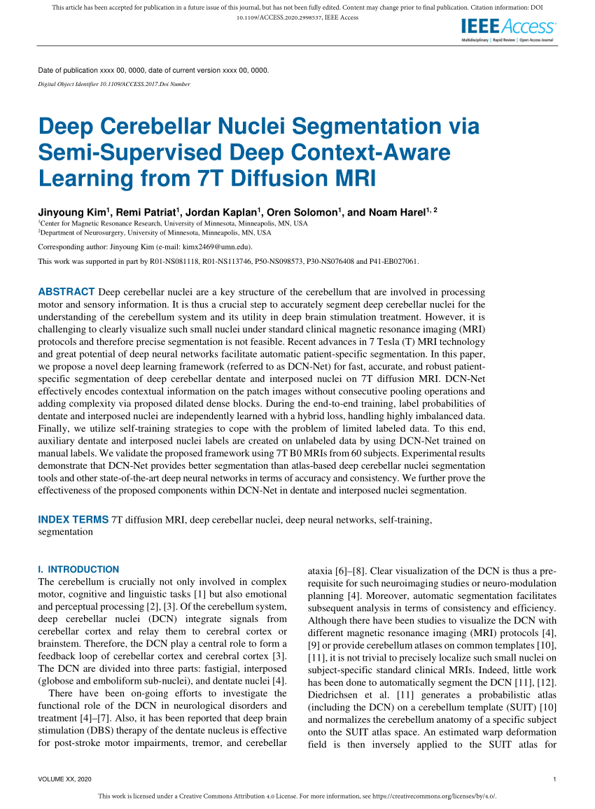 PDF) Deep Cerebellar Nuclei Segmentation via Semi-Supervised Deep ...