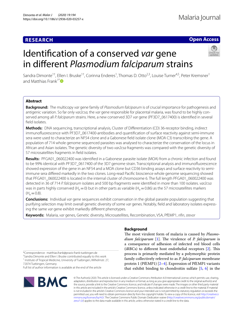 Pdf Identification Of A Conserved Var Gene In Different