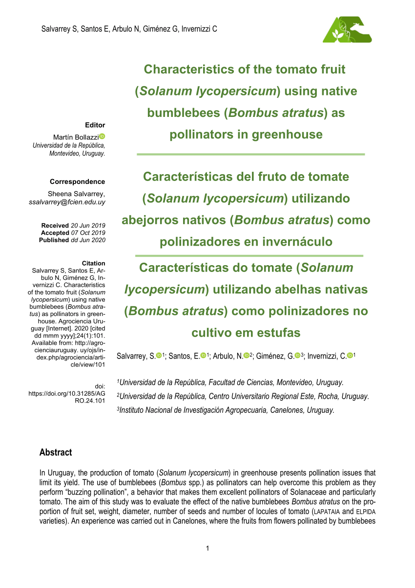 Pdf Characteristics Of The Tomato Fruit Solanum Lycopersicum Using Native Bumblebees Bombus Atratus As Pollinators In Greenhouse