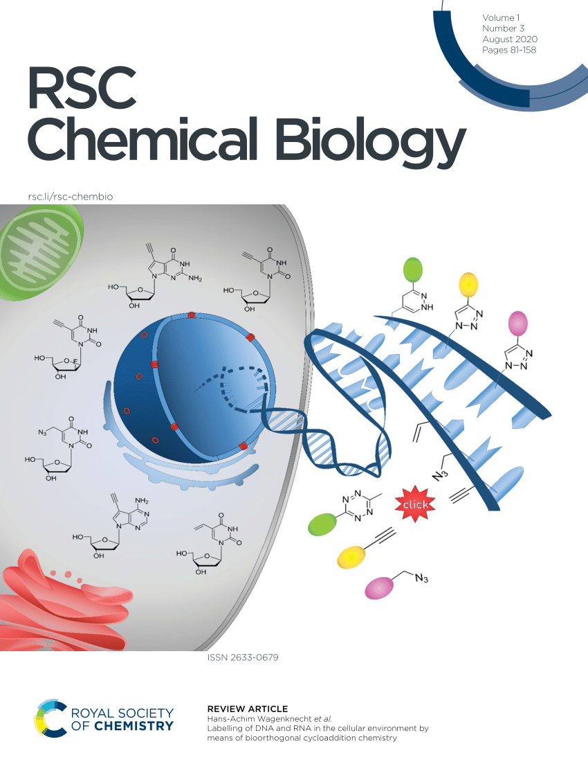 Expanding the Scope of RNA Metabolic Labeling with Vinyl Nucleosides and  Inverse Electron-Demand Diels–Alder Chemistry