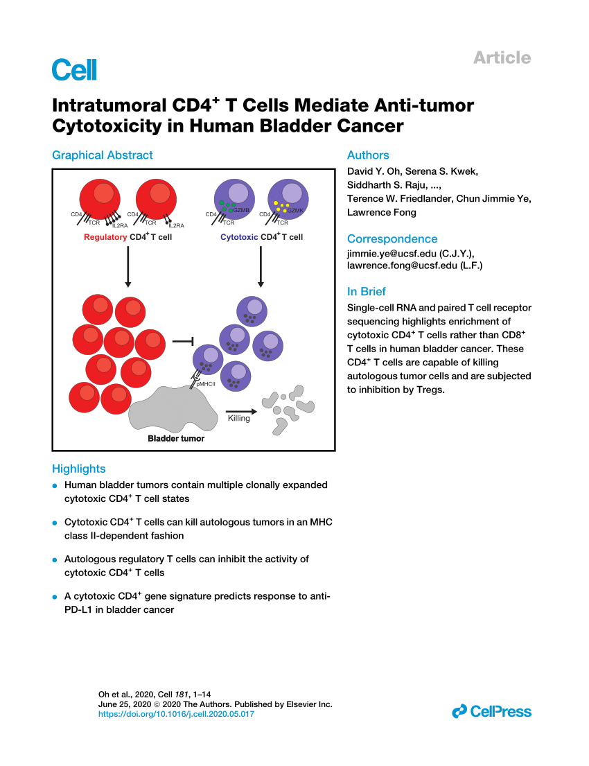 Pdf Intratumoral Cd4 T Cells Mediate Anti Tumor Cytotoxicity In Human Bladder Cancer