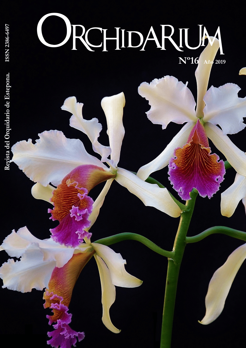 PDF) Magazine Orchidarium 16
