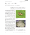 Preview image for First report of the defoliator moth, Spoladea recurvalis (Fabricius, 1775) (Lepidoptera: Crambidae), in Tunisia