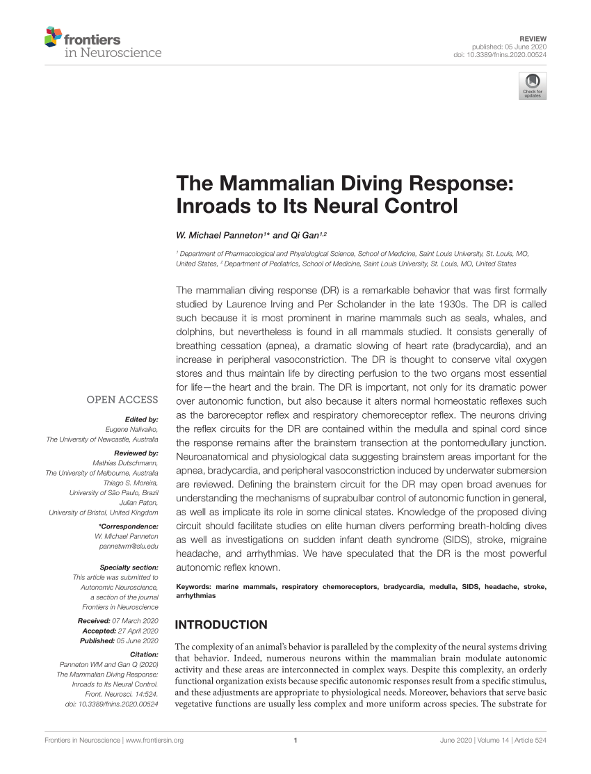 (PDF) The Mammalian Diving Response: Inroads to Its Neural Control