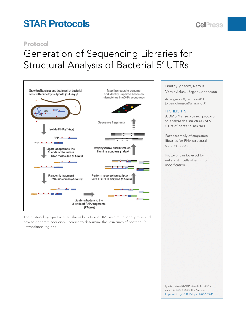 Pdf Generation Of Sequencing Libraries For Structural Analysis Of Bacterial 5 Utrs