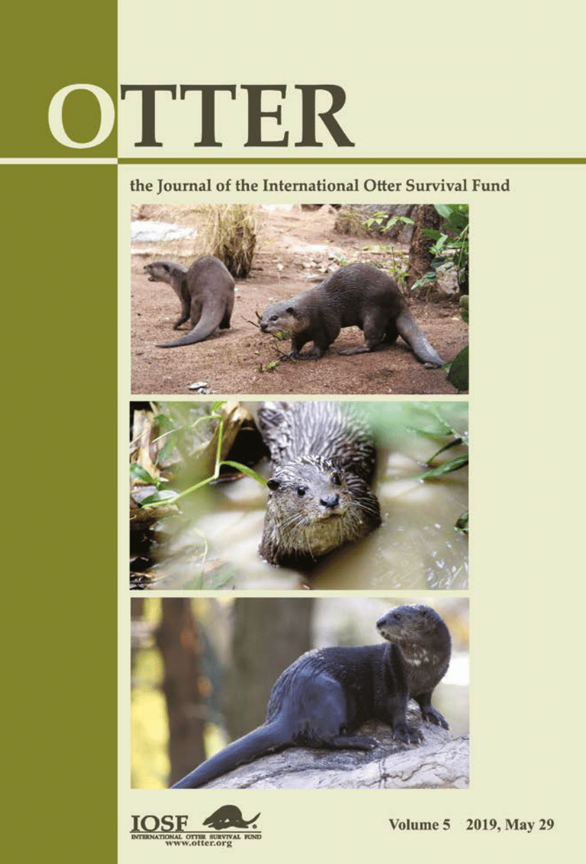 Pdf Otter Journal Of The International Otter Survival Fund Vol 5