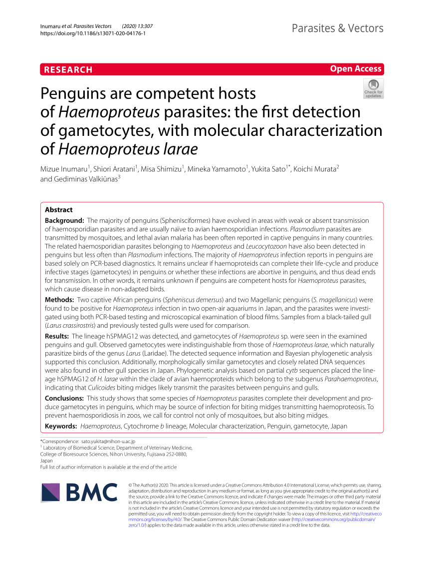 PDF) Penguins are competent hosts of Haemoproteus parasites: the ...