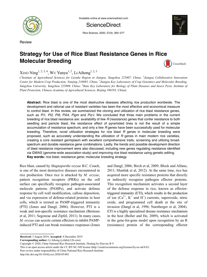 Pdf Strategy For Use Of Rice Blast Resistance Genes In Rice Molecular Breeding