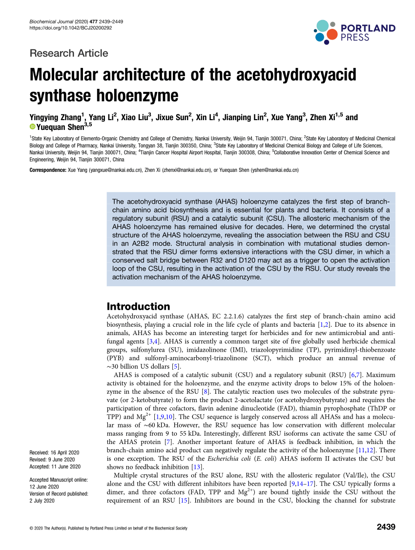 PDF) Molecular architecture of the acetohydroxyacid synthase