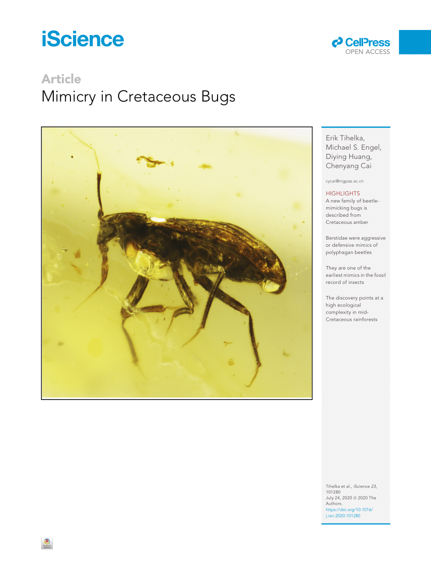 Pdf Mimicry In Cretaceous Bugs