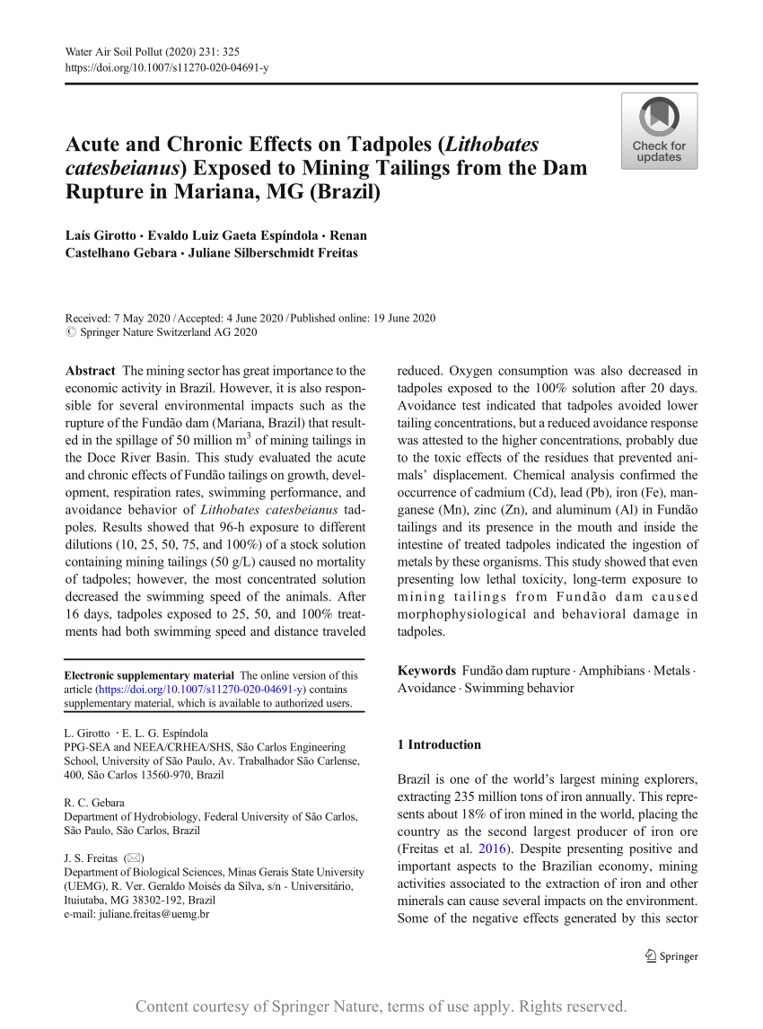 Acute And Chronic Effects On Tadpoles Lithobates Catesbeianus Exposed To Mining Tailings From The Dam Rupture In Mariana Mg Brazil Request Pdf