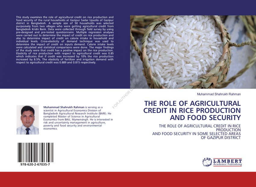 research paper on rice production