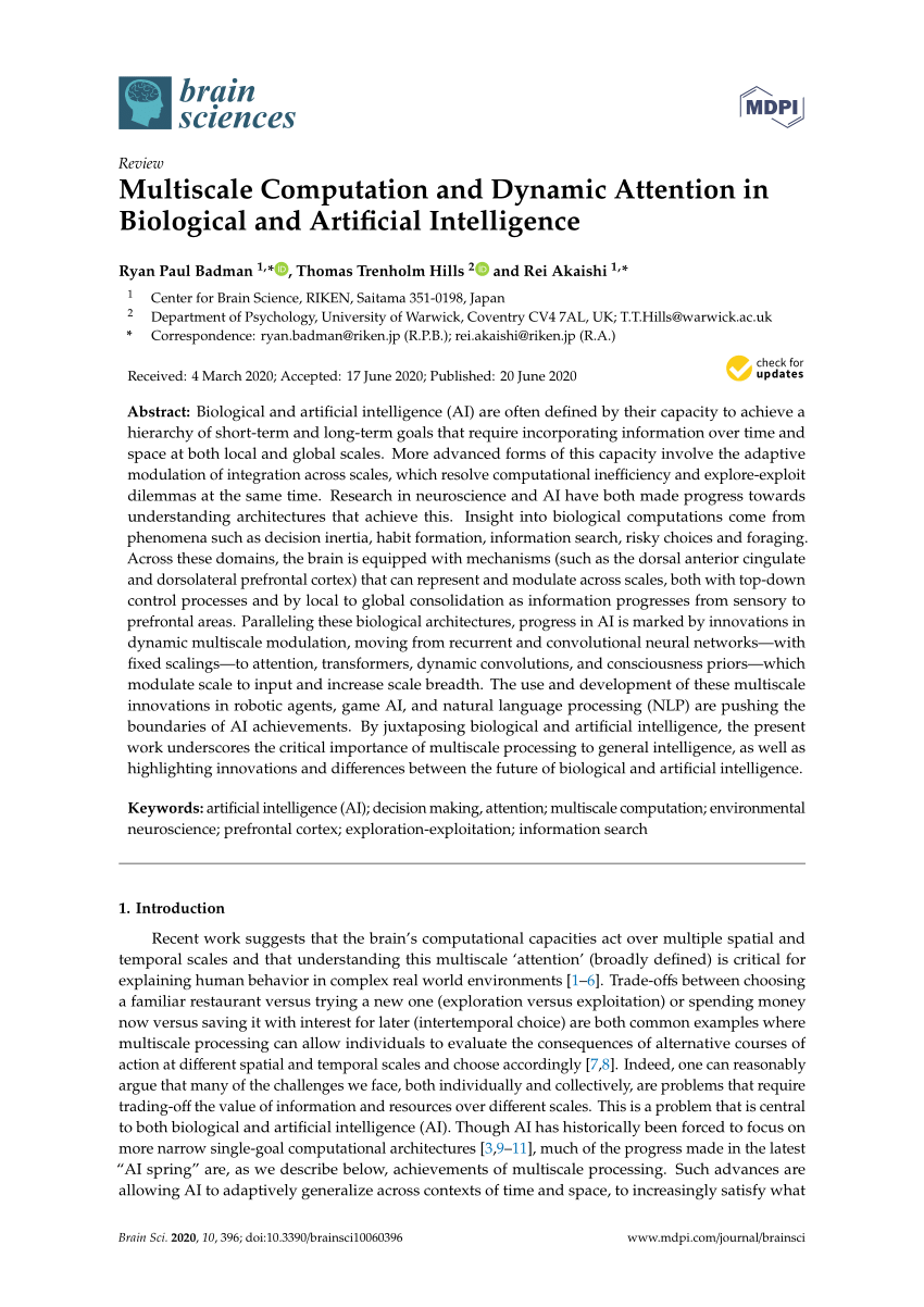 Pdf Multiscale Computation And Dynamic Attention In Biological And Artificial Intelligence