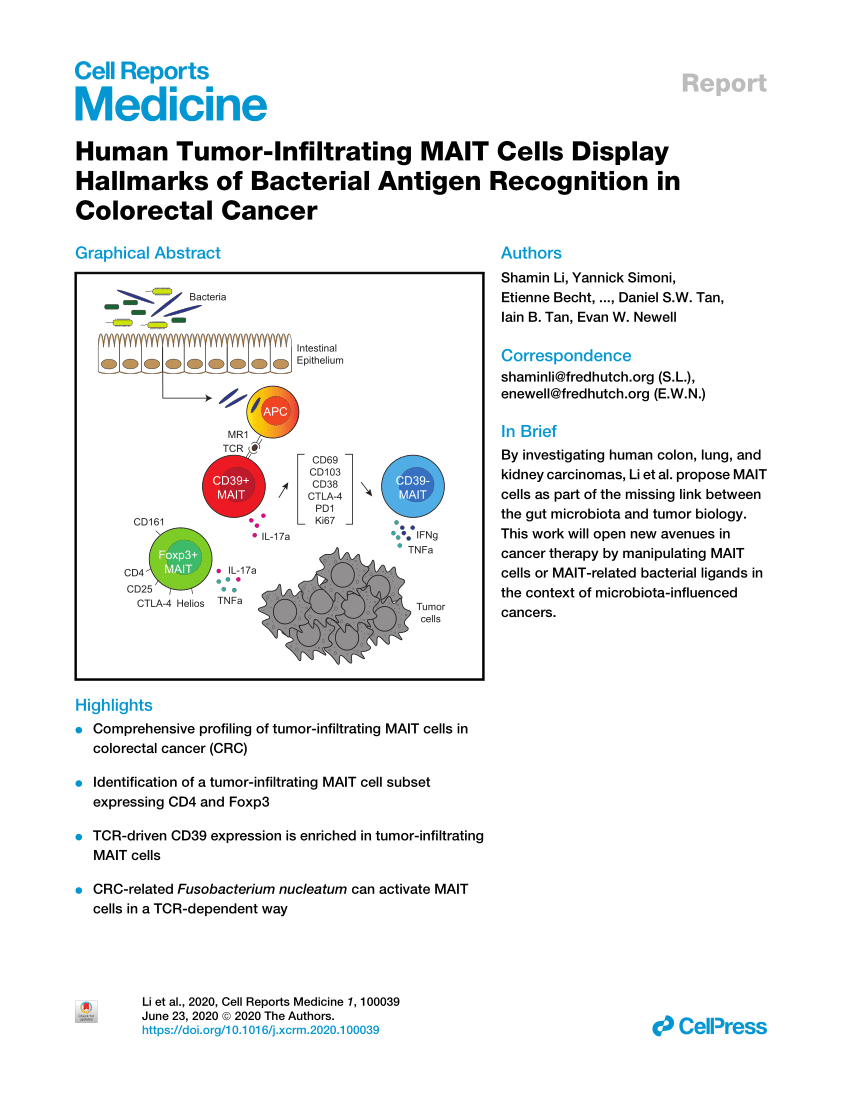 (PDF) Human Tumor-Infiltrating MAIT Cells Display Hallmarks of ...