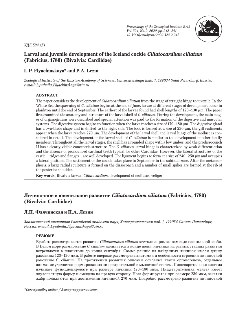 Pdf Larval And Juvenile Development Of The Iceland Cockle Ciliatocardium Ciliatum Fabricius 1780 Bivalvia Cardiidae