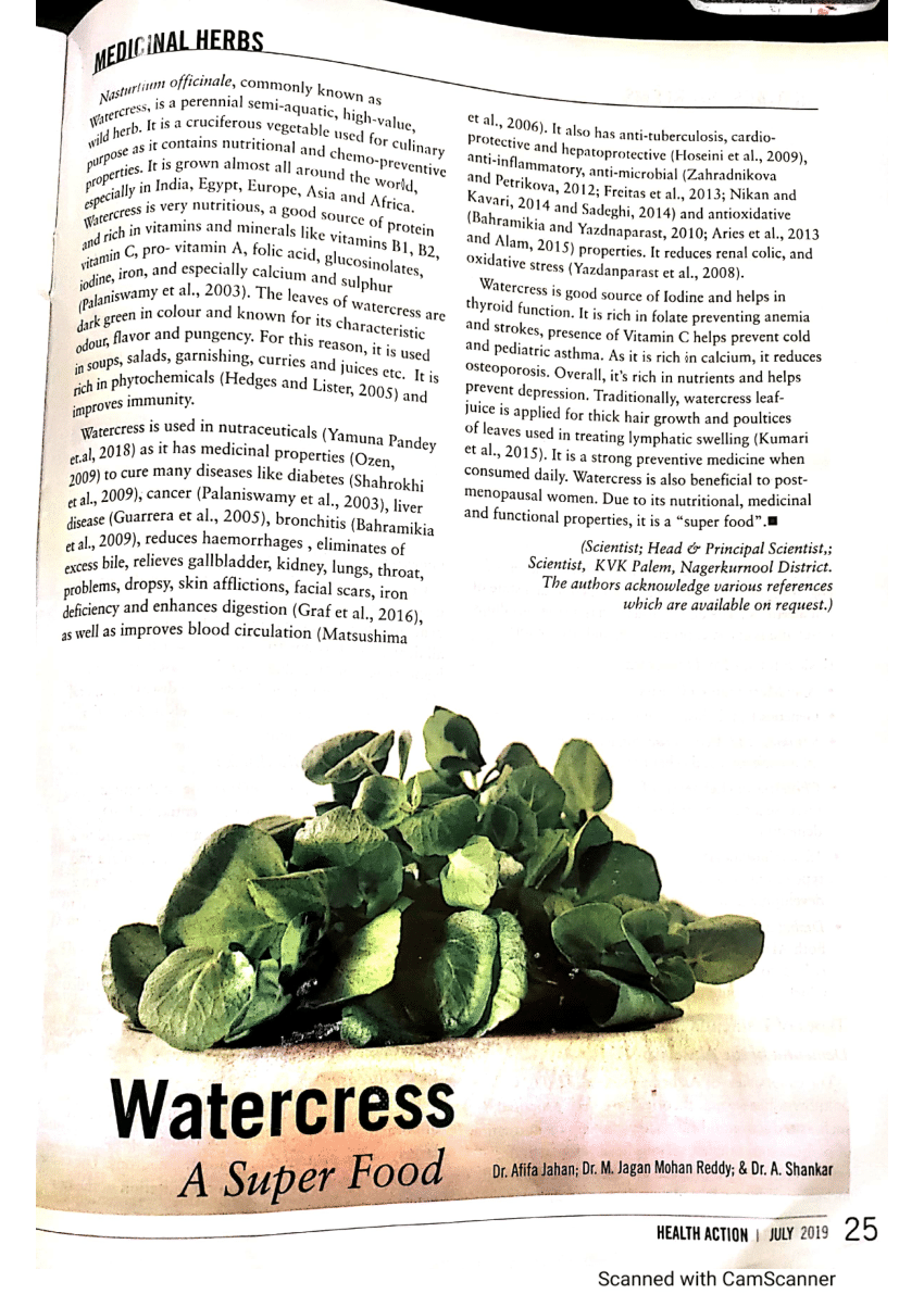 PDF Watercress A super food