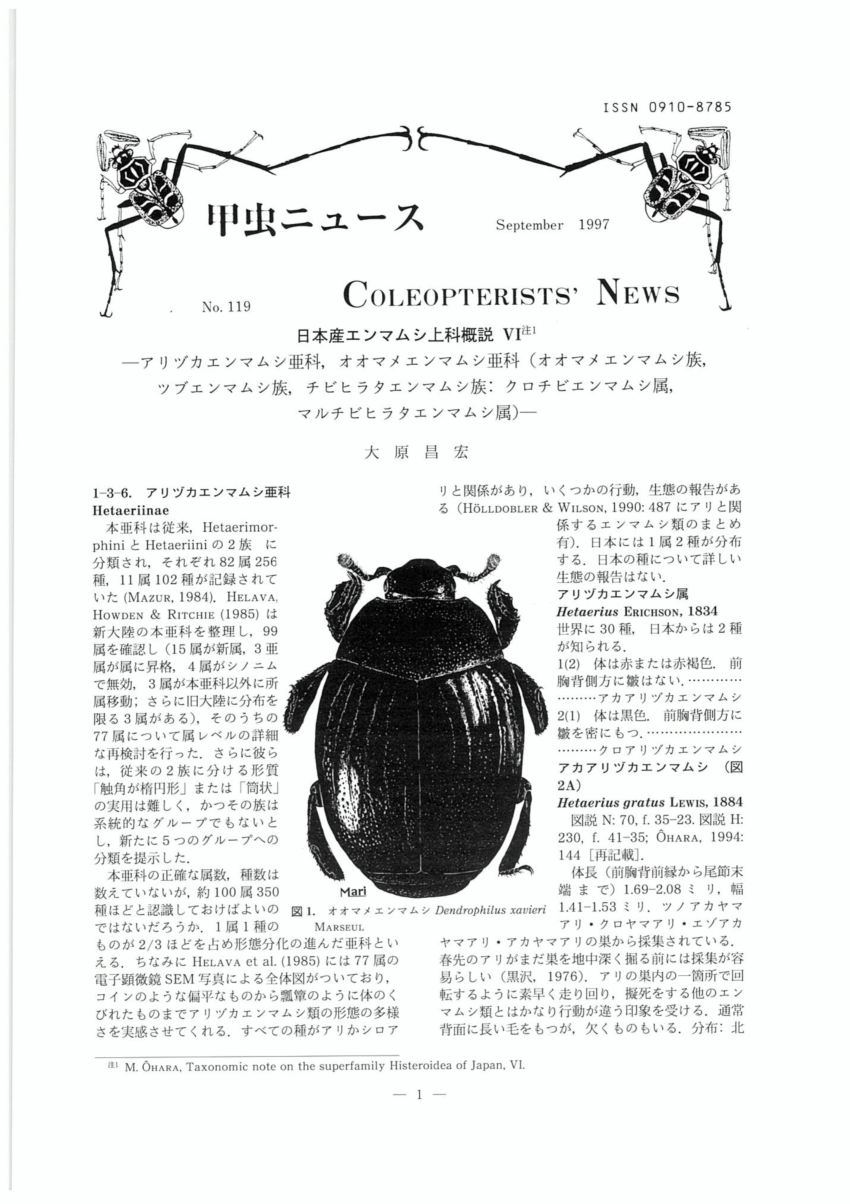 Pdf Taxonomic Note On The Superfamily Histeroidea Of Japan Vi 日本産エンマムシ上科概説 Vi