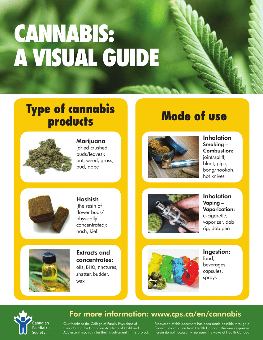 https://i1.rgstatic.net/publication/342534485_CANNABIS_A_VISUAL_GUIDE/links/5efa4f1b299bf18816f1894a/largepreview.png