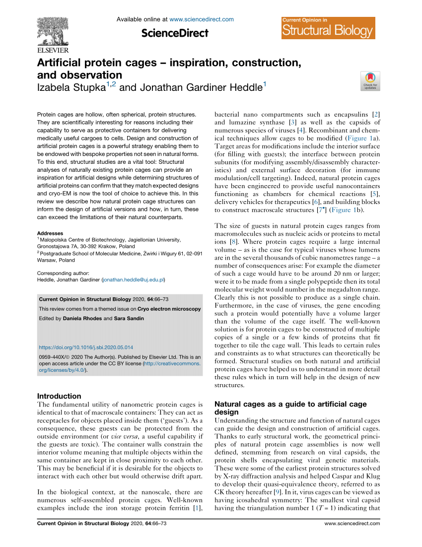 Structure and assembly of scalable porous protein cages