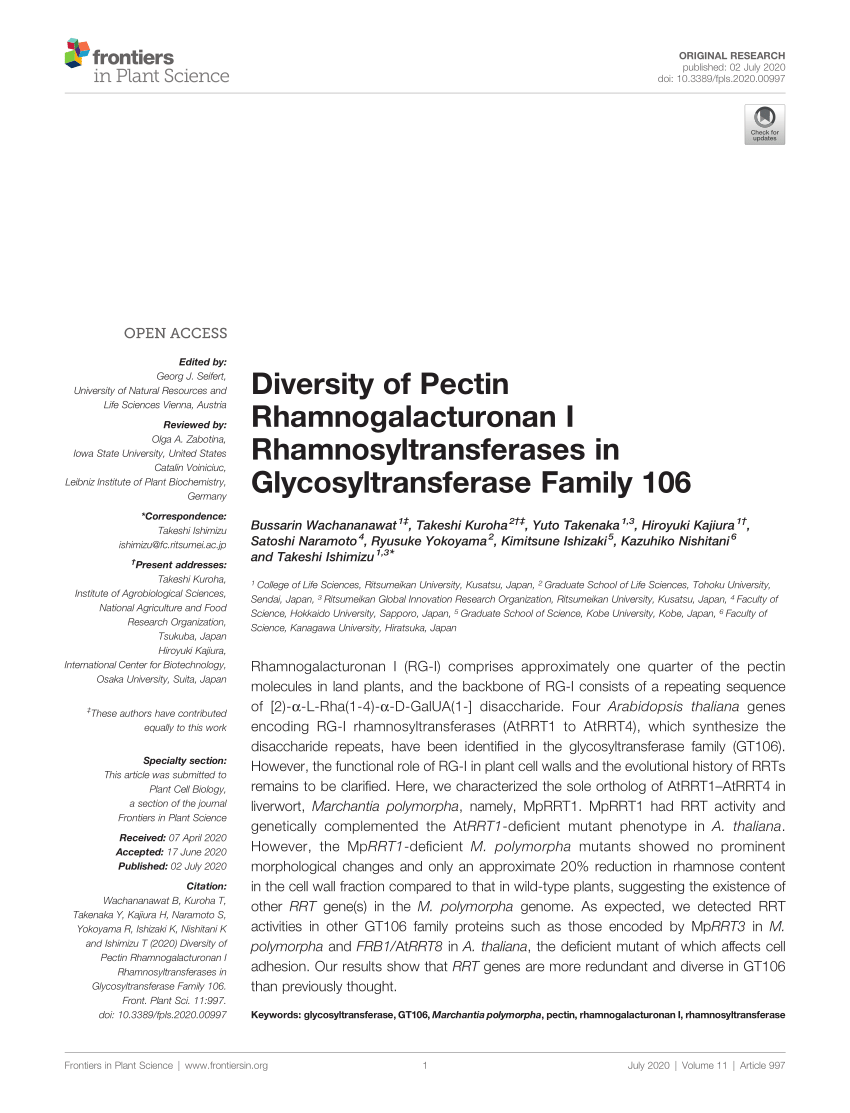 Pdf Diversity Of Pectin Rhamnogalacturonan I Rhamnosyltransferases In Glycosyltransferase Family 106