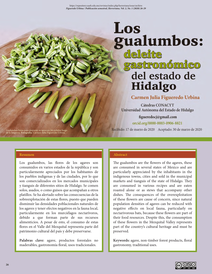 PDF) Los gualumbos: deleite gastronómico del estado de Hidalgo