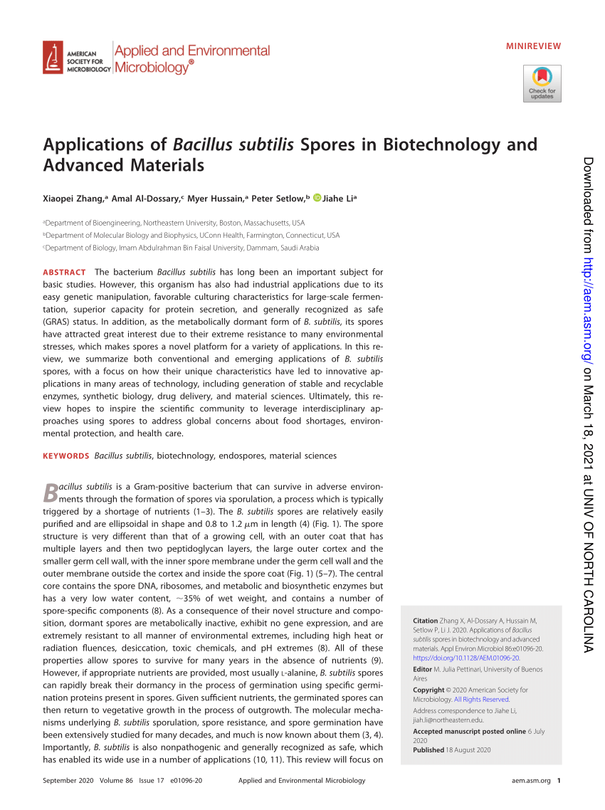 Sporobeads: The Utilization of the Bacillus subtilis Endospore