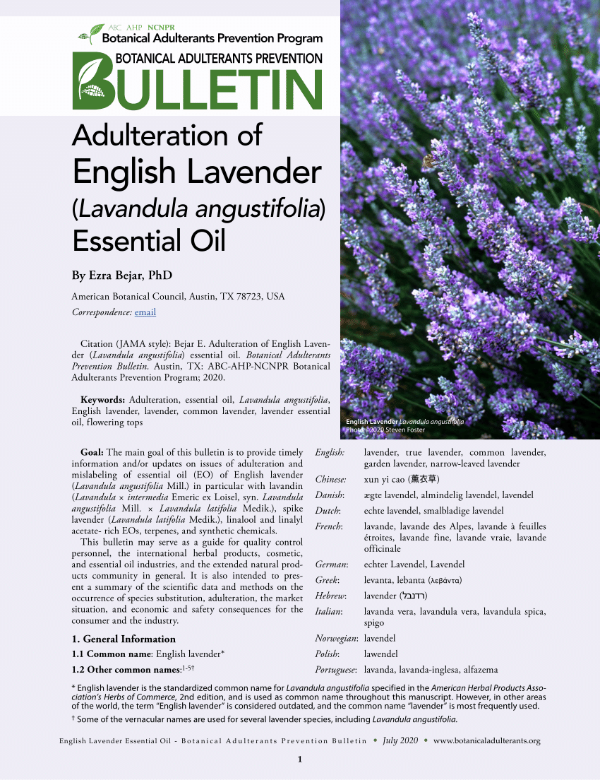 Lavandula angustifolia — Wikipédia