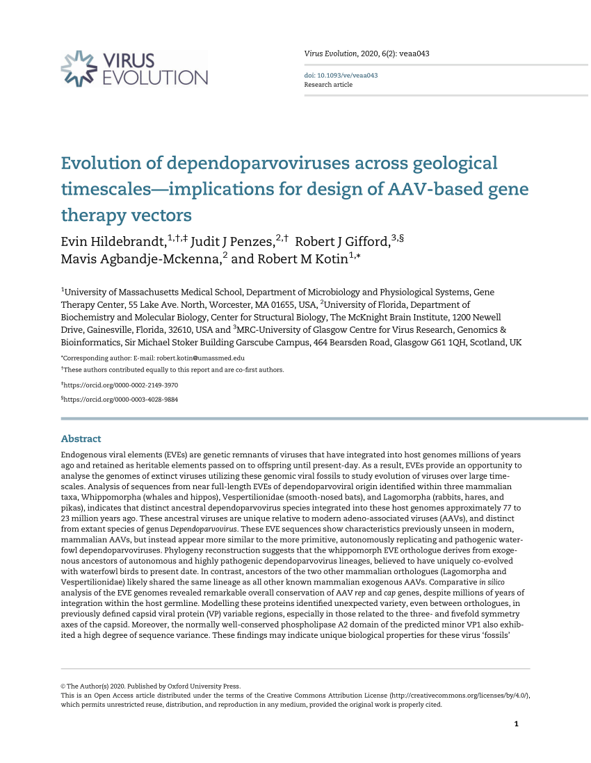 Effects 5 Aza On Adeno Associated Virus v Transgene Expression Download Scientific Diagram