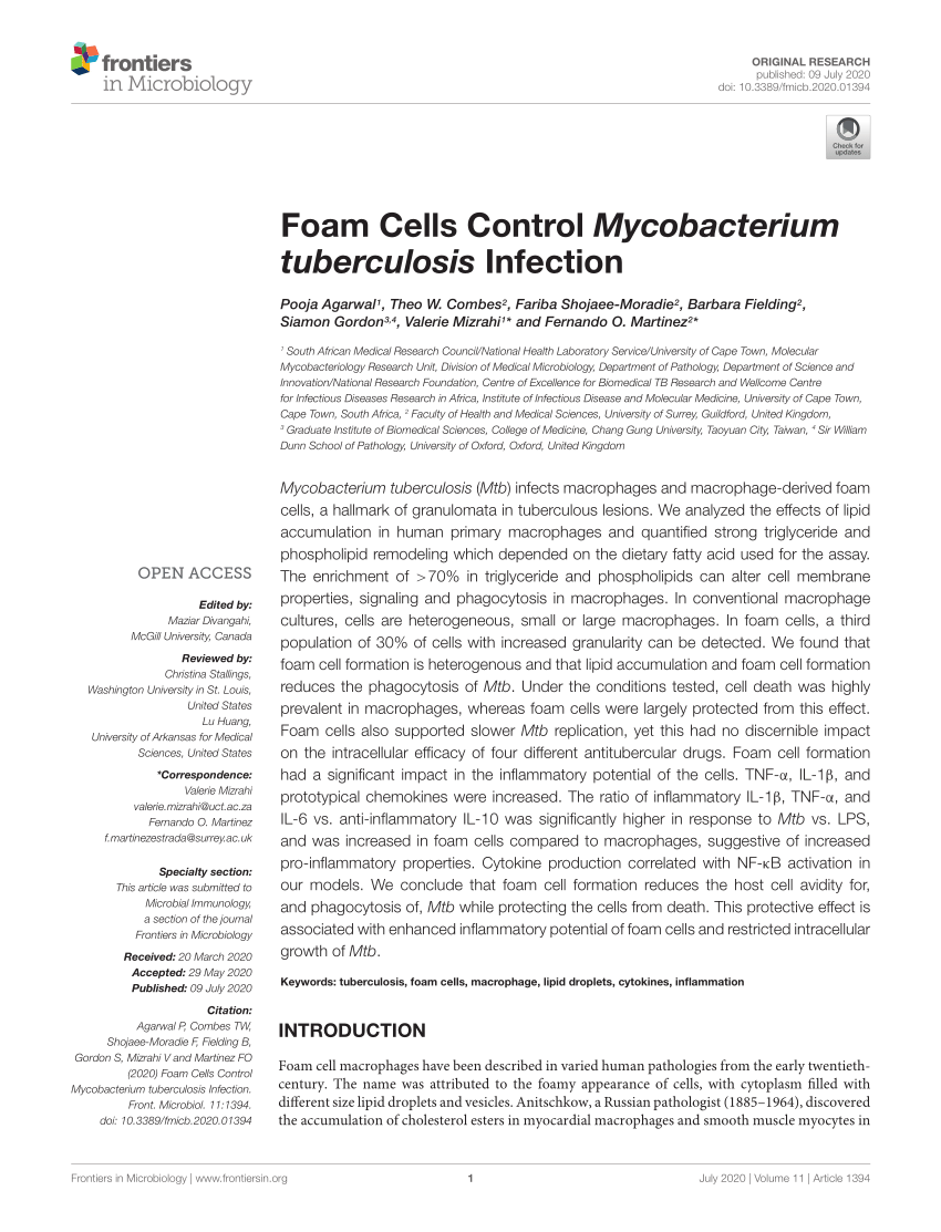 (PDF) Foam Cells Control Mycobacterium tuberculosis Infection