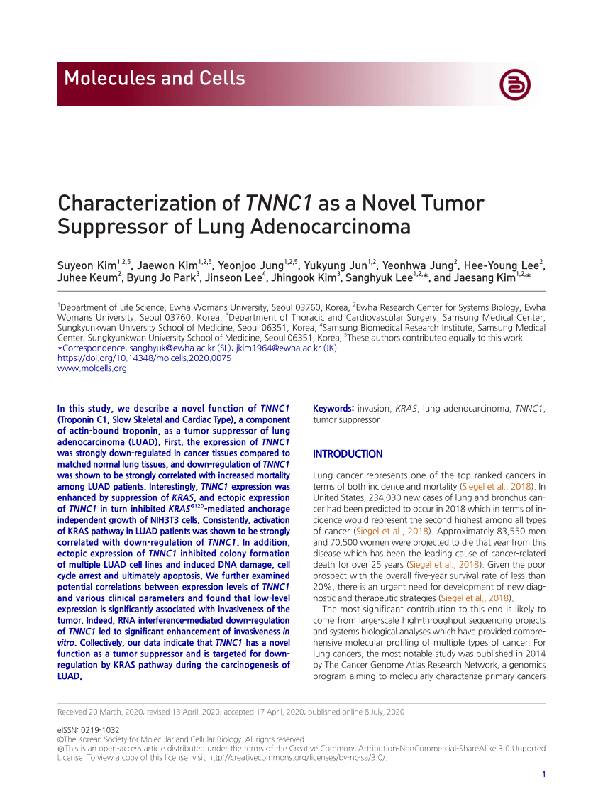 lung cancer research paper pubmed