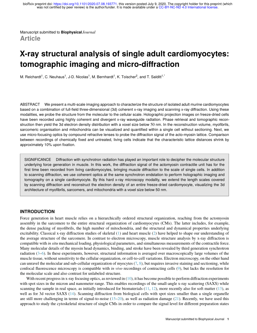 Pdf X Ray Structural Analysis Of Single Adult Cardiomyocytes Tomographic Imaging And Micro Diffraction