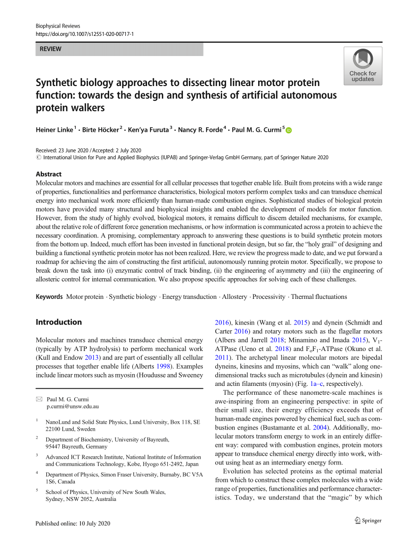 Pdf Synthetic Biology Approaches To Dissecting Linear Motor Protein Function Towards The Design And Synthesis Of Artificial Autonomous Protein Walkers