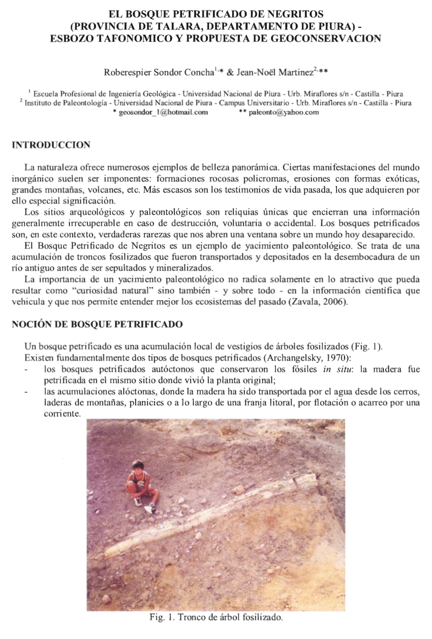 PDF) El bosque petrificado de Negritos (Provincia de Talara, Departamento  de Piura): esbozo tafonómico y propuesta de geoconservación