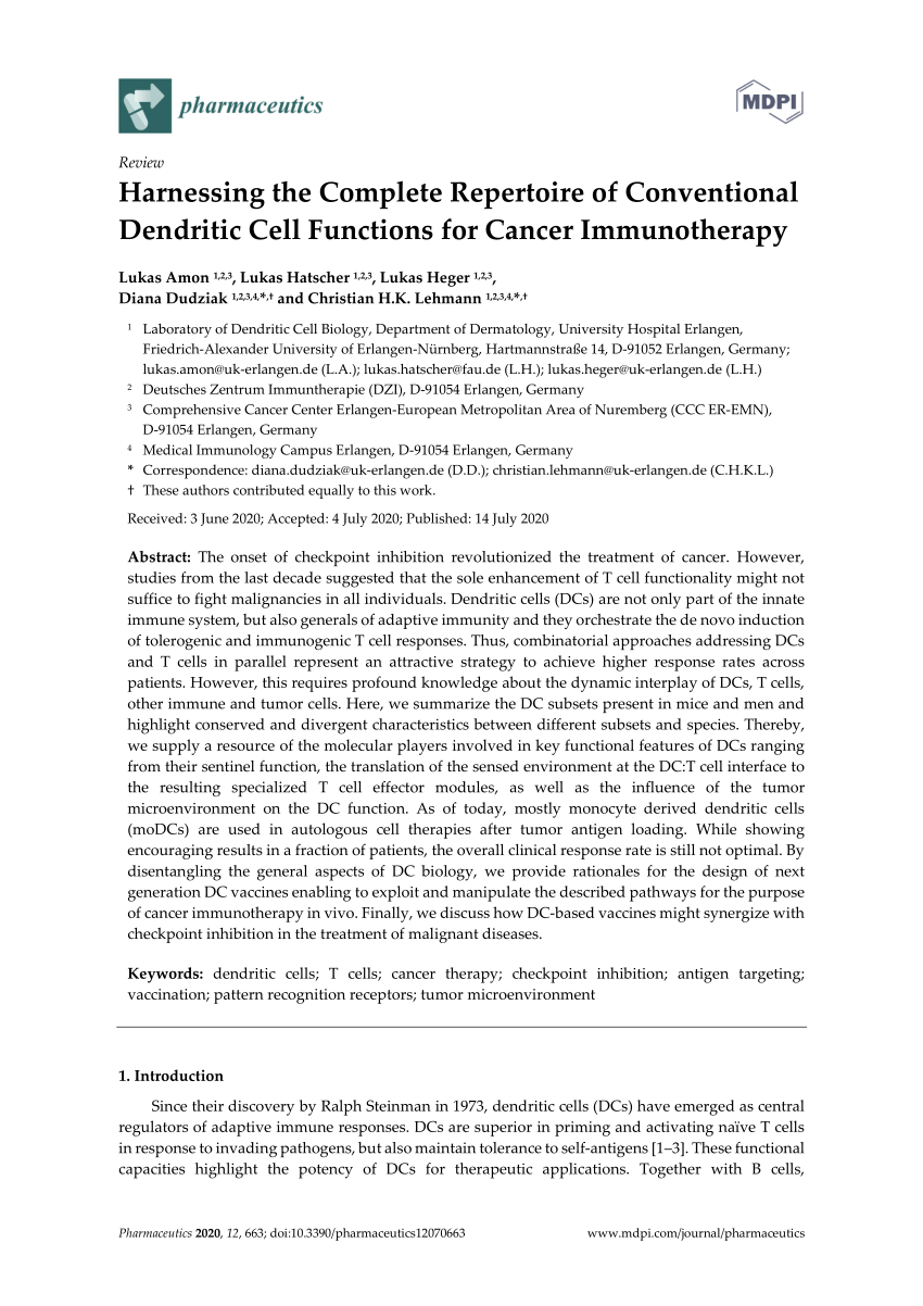 Stor eg Bermad Diverse varer PDF) Harnessing the Complete Repertoire of Conventional Dendritic Cell  Functions for Cancer Immunotherapy