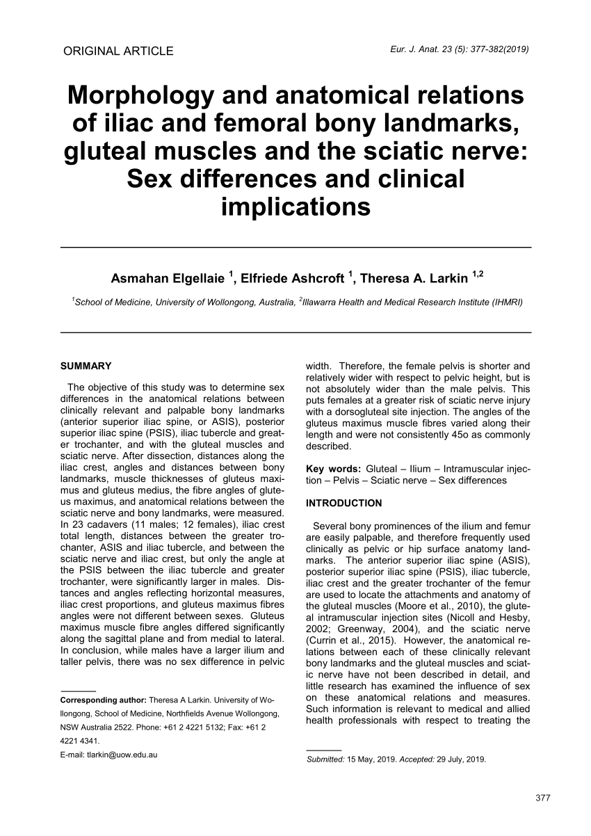 Pdf Morphology And Anatomical Relations Of Iliac And Femoral Bony Landmarks Gluteal Muscles 