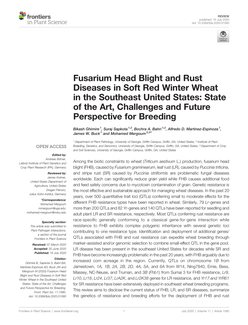 Pdf Fusarium Head Blight And Rust Diseases In Soft Red Winter Wheat In The Southeast United States State Of The Art Challenges And Future Perspective For Breeding