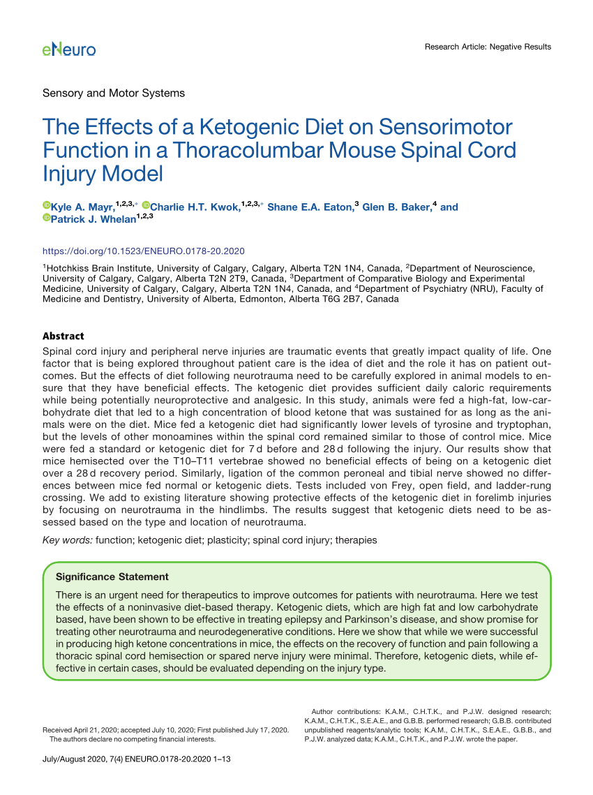 Pdf The Effects Of A Ketogenic Diet On Sensorimotor Function In A Thoracolumbar Mouse Spinal Cord Injury Model