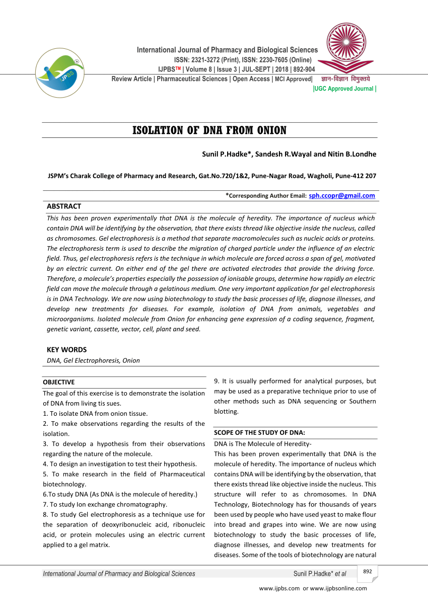 Pdf Isolation Of Dna From Onion