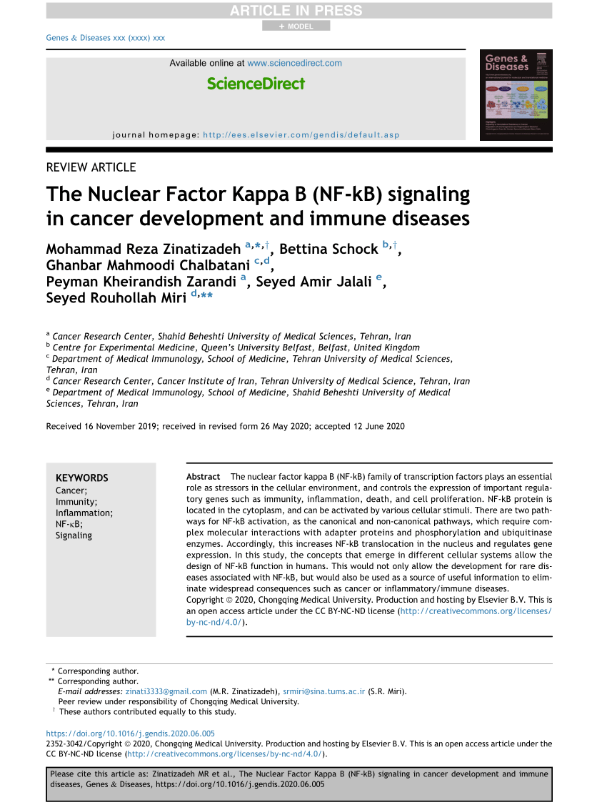 Pdf The Nuclear Factor Kappa B Nf Kb Signaling In Cancer Development And Immune Diseases