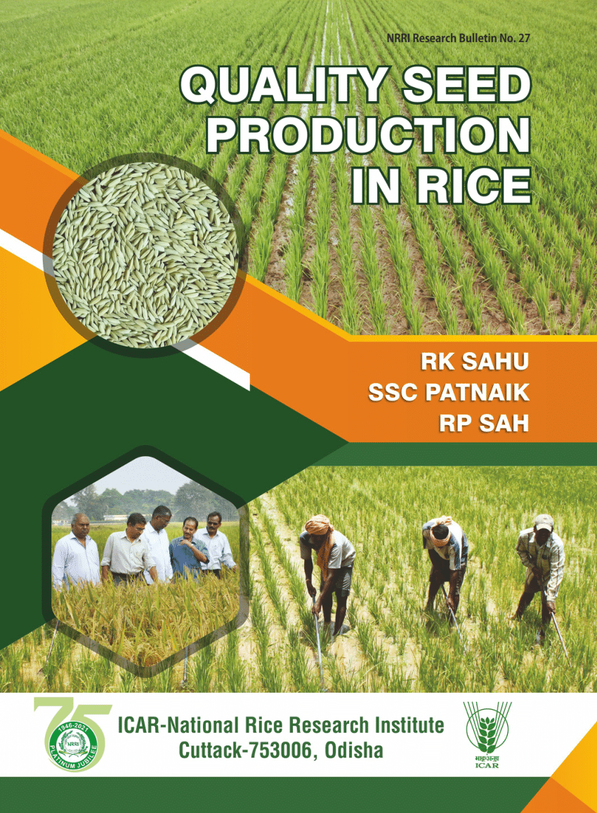 (PDF) Quality Seed Production in Rice