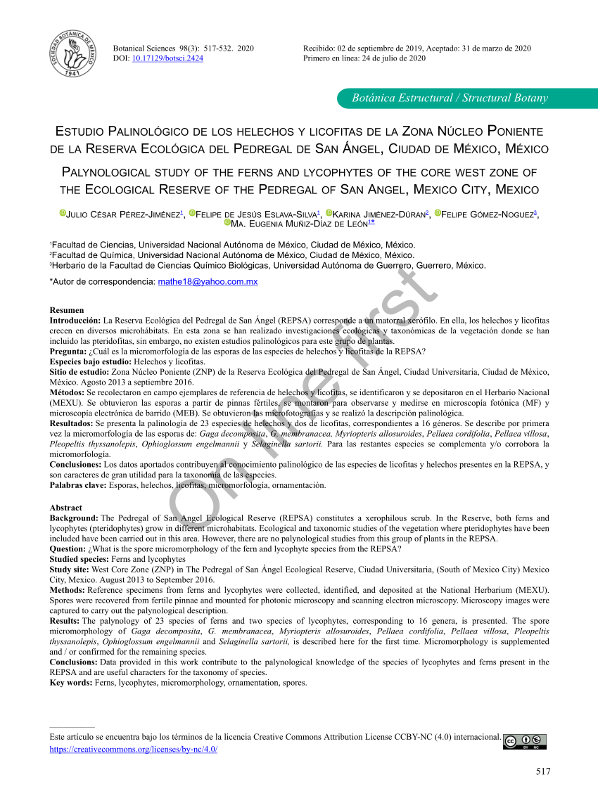 photomicrographs of cryptogam spores registered in core bu 91 gl 05 download scientific diagram core bu 91 gl 05