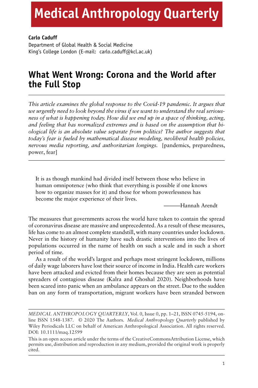 Pdf What Went Wrong Corona And The World After The Full Stop